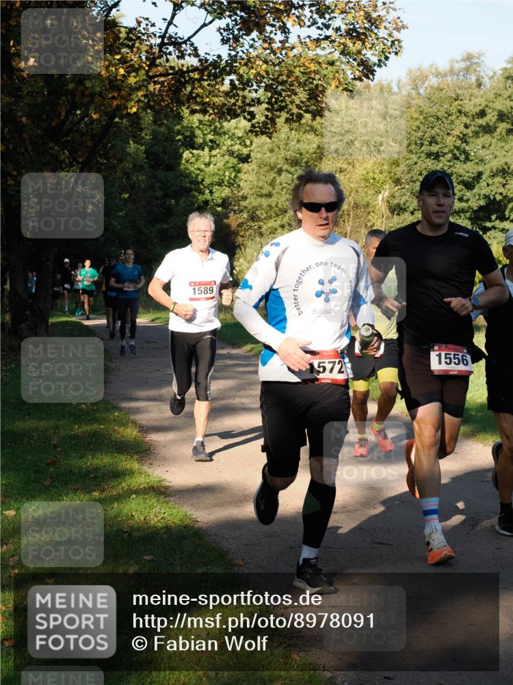 28.09.2025 - 33. Volkslauf durch das schöne Alstertal Fabian Wolf http://msf.ph/oto/8978091 28.09.2025 10:04:03 Laufen 017, 1589, 1572, 1556 meine-sportfotos.de