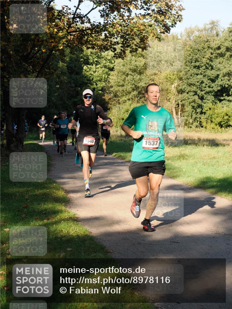 28.09.2025 - 33. Volkslauf durch das schöne Alstertal Fabian Wolf http://msf.ph/oto/8978116 28.09.2025 10:04:14 Laufen 1593, 540, 1567, 1537 meine-sportfotos.de