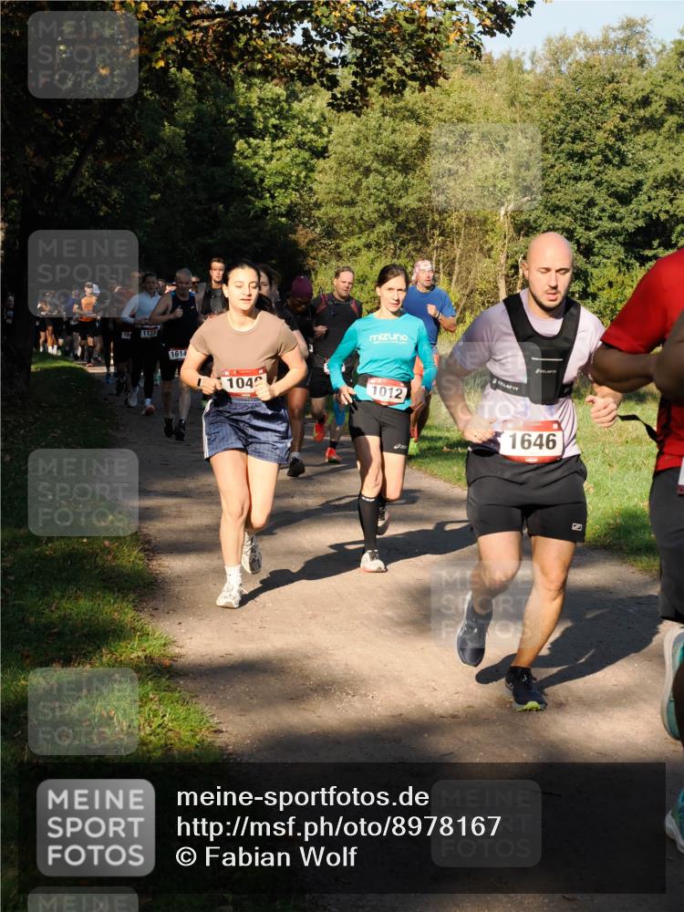 28.09.2025 - 33. Volkslauf durch das schöne Alstertal Fabian Wolf http://msf.ph/oto/8978167 28.09.2025 10:04:42 Laufen 18, 1123, 1614, 104, 1012, 1646 meine-sportfotos.de