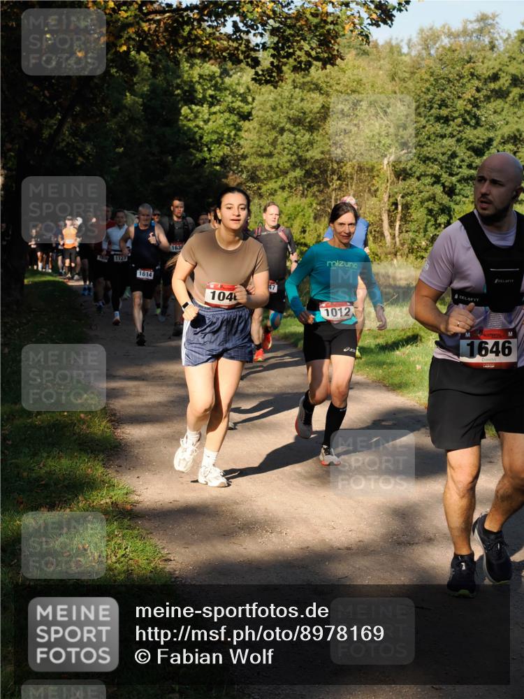 28.09.2025 - 33. Volkslauf durch das schöne Alstertal Fabian Wolf http://msf.ph/oto/8978169 28.09.2025 10:04:43 Laufen 1123, 1614, 163, 104, 1012, 1646 meine-sportfotos.de