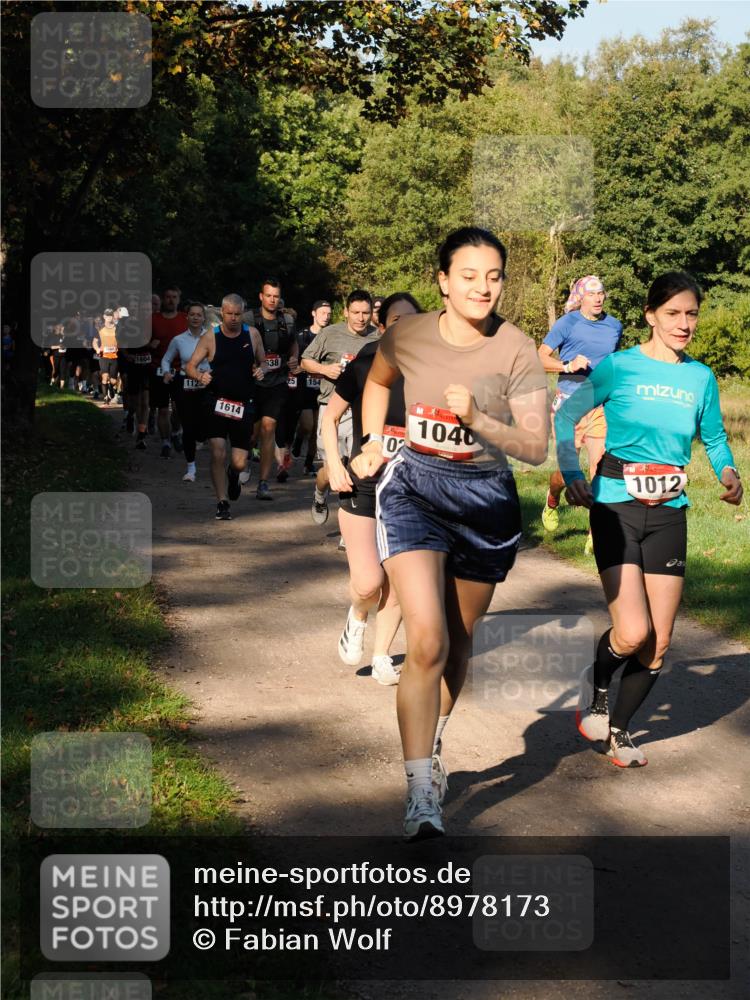 28.09.2025 - 33. Volkslauf durch das schöne Alstertal Fabian Wolf http://msf.ph/oto/8978173 28.09.2025 10:04:44 Laufen 1604, 1125, 1614, 638, 154, 02, 1040, 1012 meine-sportfotos.de