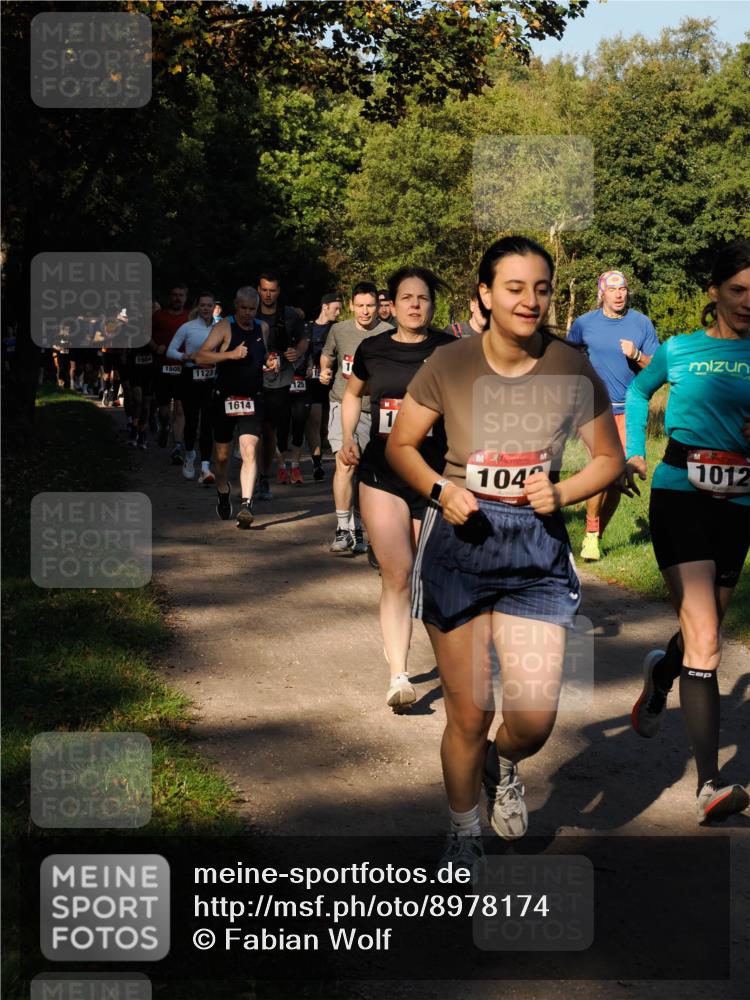 28.09.2025 - 33. Volkslauf durch das schöne Alstertal Fabian Wolf http://msf.ph/oto/8978174 28.09.2025 10:04:44 Laufen 1604, 1808, 1123, 1614, 125, 104, 1012 meine-sportfotos.de