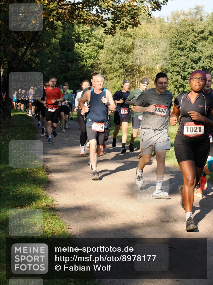 28.09.2025 - 33. Volkslauf durch das schöne Alstertal Fabian Wolf http://msf.ph/oto/8978177 28.09.2025 10:04:46 Laufen 111, 1614, 1548, 1648, 1021 meine-sportfotos.de
