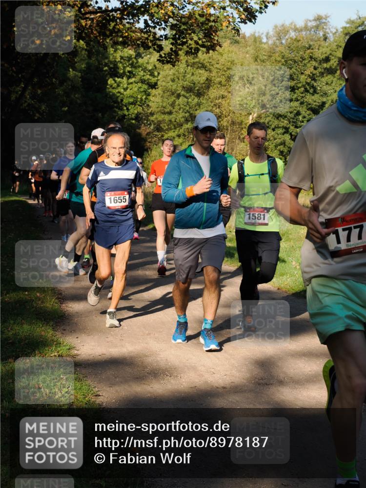 28.09.2025 - 33. Volkslauf durch das schöne Alstertal Fabian Wolf http://msf.ph/oto/8978187 28.09.2025 10:04:53 Laufen 1655, 1581, 177 meine-sportfotos.de