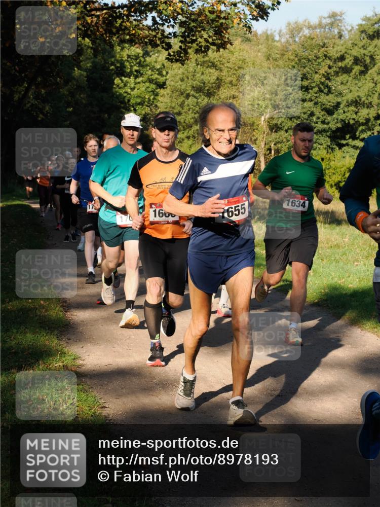 28.09.2025 - 33. Volkslauf durch das schöne Alstertal Fabian Wolf http://msf.ph/oto/8978193 28.09.2025 10:04:55 Laufen 17, 1600, 655, 1634 meine-sportfotos.de