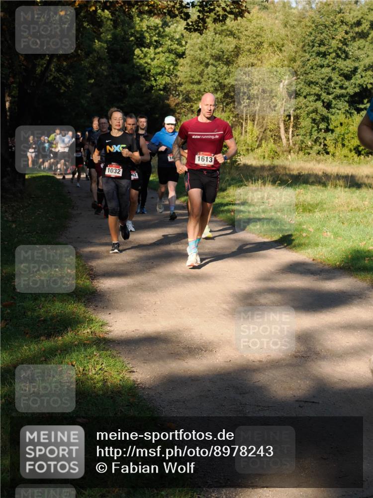 28.09.2025 - 33. Volkslauf durch das schöne Alstertal Fabian Wolf http://msf.ph/oto/8978243 28.09.2025 10:05:15 Laufen 1094, 1032, 42, 16, 1613 meine-sportfotos.de