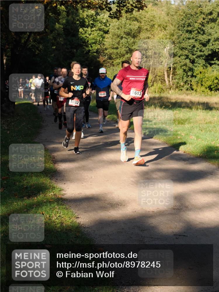 28.09.2025 - 33. Volkslauf durch das schöne Alstertal Fabian Wolf http://msf.ph/oto/8978245 28.09.2025 10:05:15 Laufen 18, 1124, 1032, 1640, 613 meine-sportfotos.de