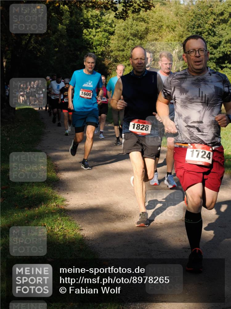 28.09.2025 - 33. Volkslauf durch das schöne Alstertal Fabian Wolf http://msf.ph/oto/8978265 28.09.2025 10:05:20 Laufen 1708, 10, 1600, 061, 1828, 1724 meine-sportfotos.de