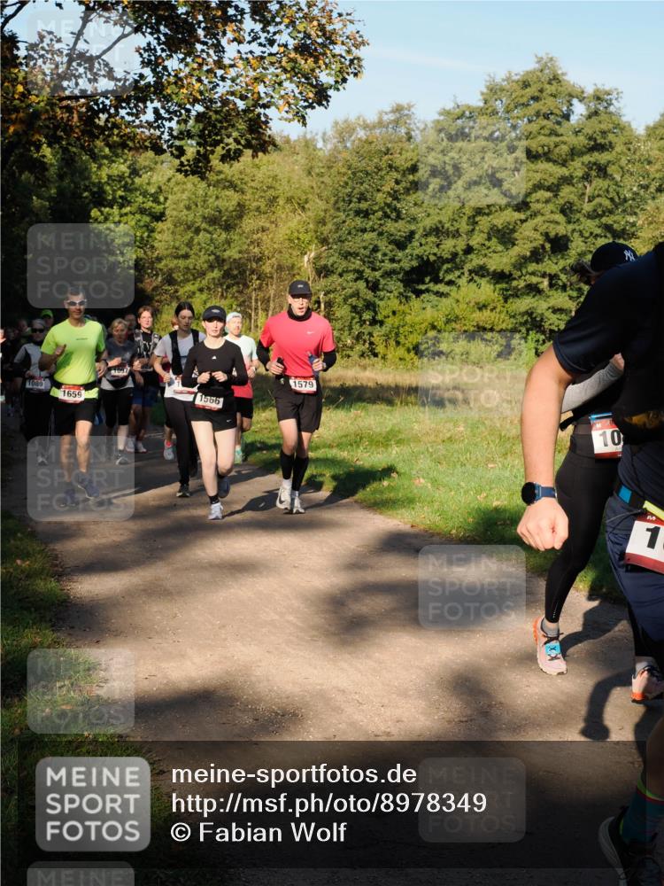28.09.2025 - 33. Volkslauf durch das schöne Alstertal Fabian Wolf http://msf.ph/oto/8978349 28.09.2025 10:05:54 Laufen 1089, 1659, 1097, 1566, 1579, 10, 1 meine-sportfotos.de