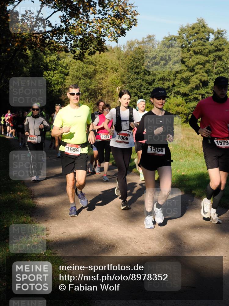 28.09.2025 - 33. Volkslauf durch das schöne Alstertal Fabian Wolf http://msf.ph/oto/8978352 28.09.2025 10:05:56 Laufen 1100, 1089, 1659, 24, 1, 1075, 1066, 1566, 1579 meine-sportfotos.de