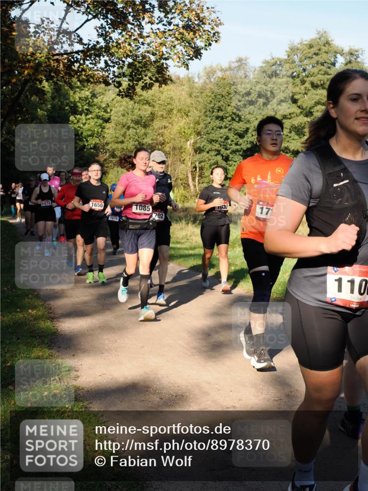 28.09.2025 - 33. Volkslauf durch das schöne Alstertal Fabian Wolf http://msf.ph/oto/8978370 28.09.2025 10:06:05 Laufen 1072, 1650, 1076, 1085, 702, 17, 110 meine-sportfotos.de