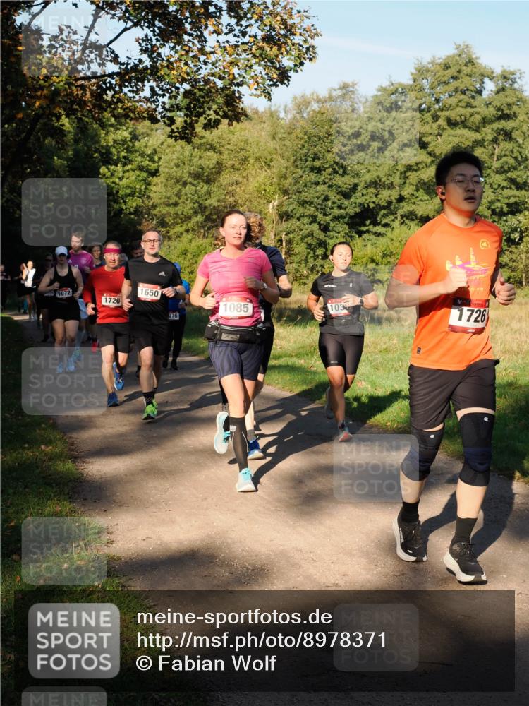 28.09.2025 - 33. Volkslauf durch das schöne Alstertal Fabian Wolf http://msf.ph/oto/8978371 28.09.2025 10:06:06 Laufen 1072, 1720, 1650, 076, 1085, 103, 1726 meine-sportfotos.de