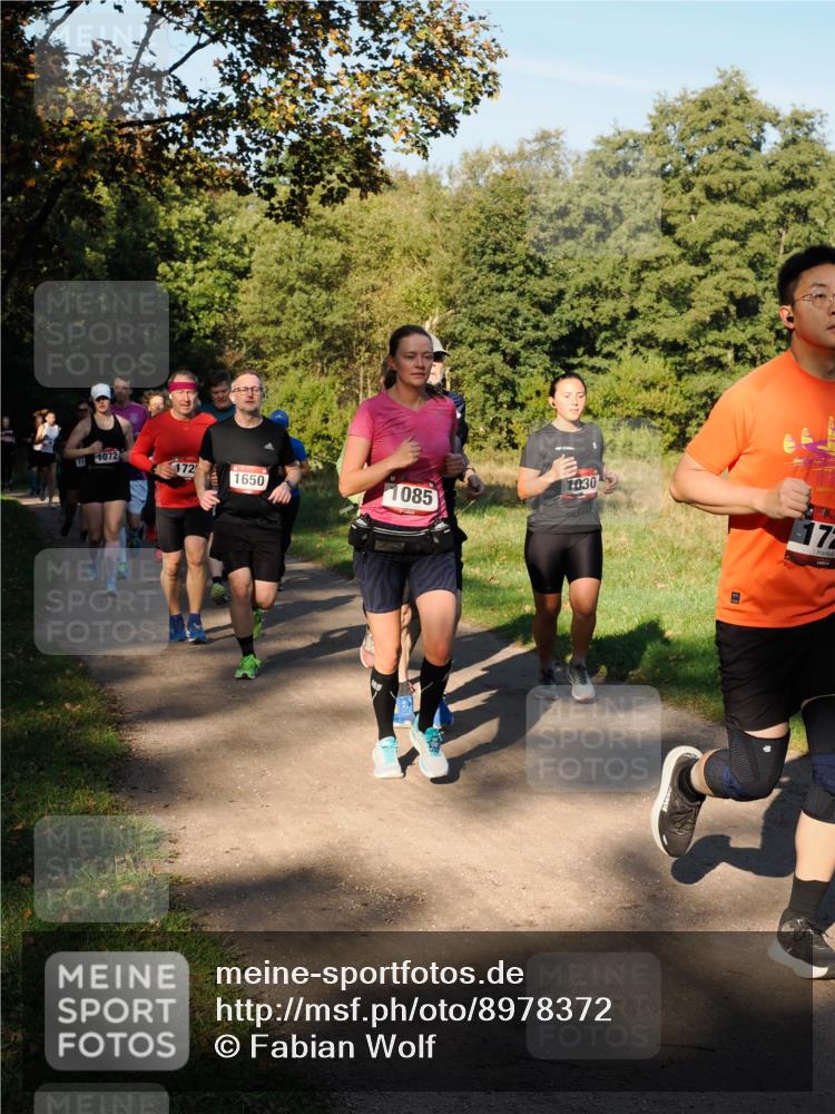 28.09.2025 - 33. Volkslauf durch das schöne Alstertal Fabian Wolf http://msf.ph/oto/8978372 28.09.2025 10:06:06 Laufen 1072, 172, 1650, 1085, 1030, 172 meine-sportfotos.de