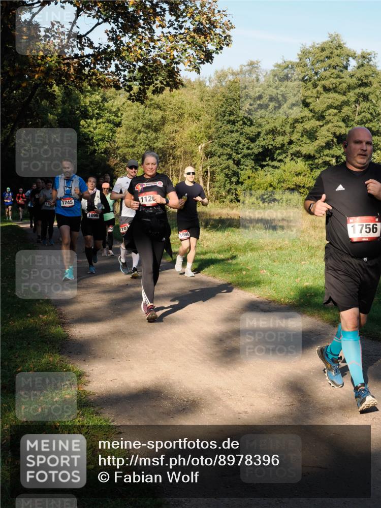 28.09.2025 - 33. Volkslauf durch das schöne Alstertal Fabian Wolf http://msf.ph/oto/8978396 28.09.2025 10:06:22 Laufen 115, 1745, 1096, 02, 1701, 1126, 1698, 1756 meine-sportfotos.de