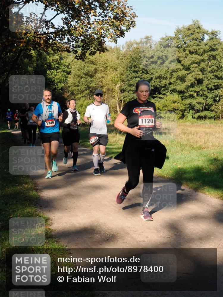 28.09.2025 - 33. Volkslauf durch das schöne Alstertal Fabian Wolf http://msf.ph/oto/8978400 28.09.2025 10:06:23 Laufen 115, 1745, 096, 1701, 1120 meine-sportfotos.de