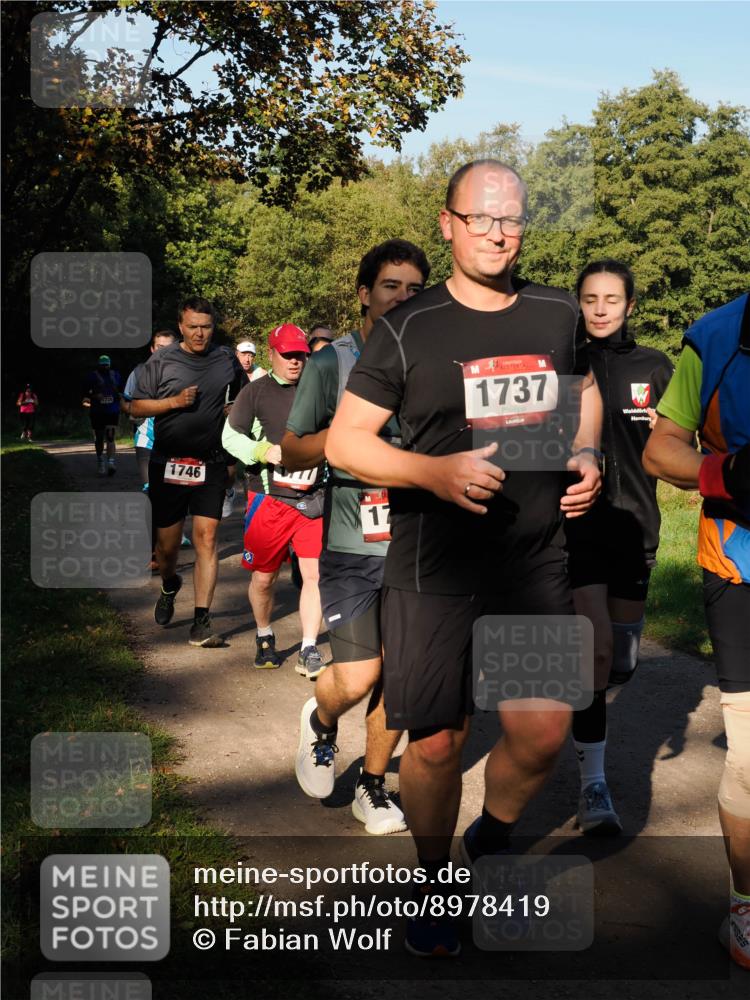 28.09.2025 - 33. Volkslauf durch das schöne Alstertal Fabian Wolf http://msf.ph/oto/8978419 28.09.2025 10:06:31 Laufen 738, 1746, 17, 1737 meine-sportfotos.de