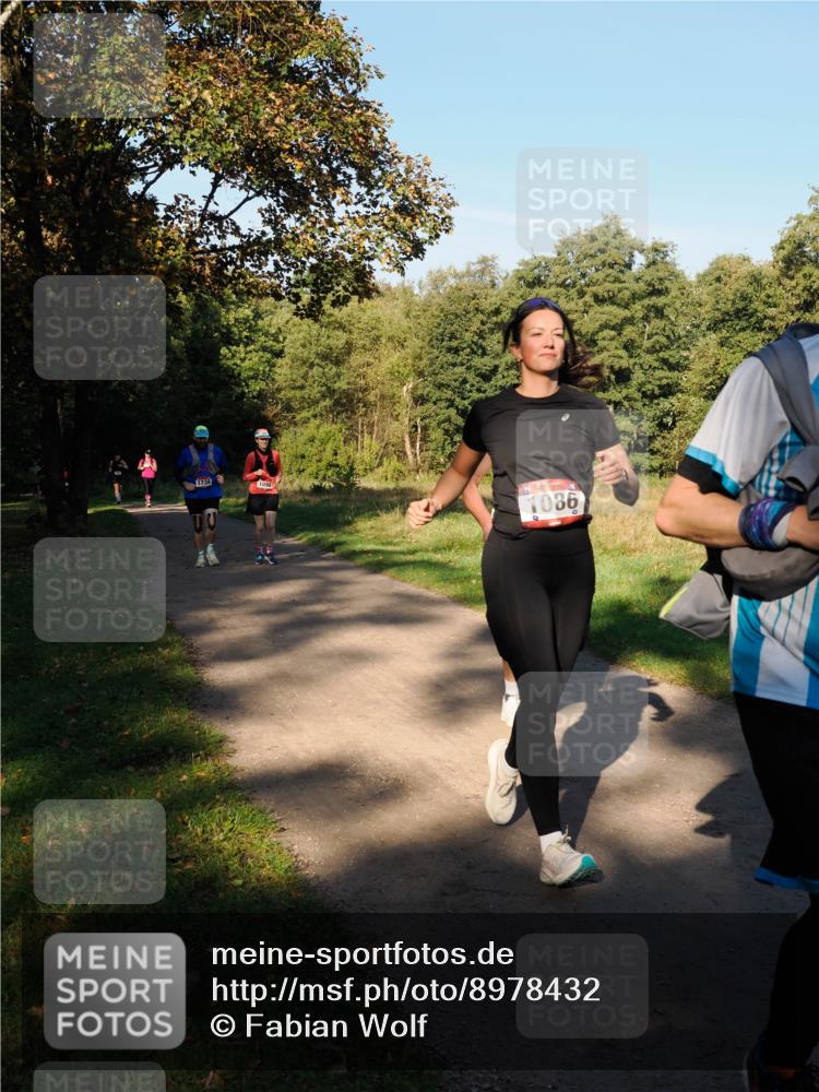 28.09.2025 - 33. Volkslauf durch das schöne Alstertal Fabian Wolf http://msf.ph/oto/8978432 28.09.2025 10:06:35 Laufen 1738, 1098, 1086 meine-sportfotos.de