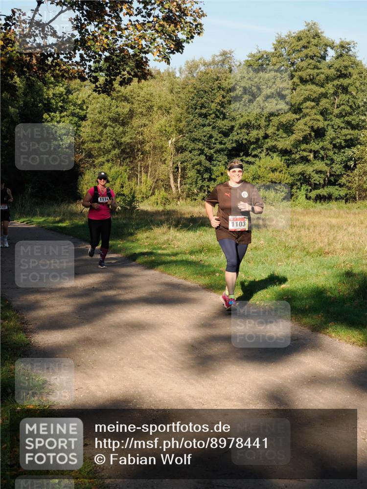 28.09.2025 - 33. Volkslauf durch das schöne Alstertal Fabian Wolf http://msf.ph/oto/8978441 28.09.2025 10:06:45 Laufen 1107, 1114, 1103 meine-sportfotos.de