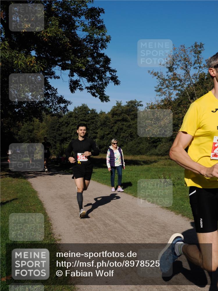 28.09.2025 - 33. Volkslauf durch das schöne Alstertal Fabian Wolf http://msf.ph/oto/8978525 28.09.2025 10:23:39 Laufen  meine-sportfotos.de