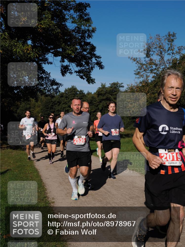 28.09.2025 - 33. Volkslauf durch das schöne Alstertal Fabian Wolf http://msf.ph/oto/8978967 28.09.2025 10:25:20 Laufen 2617, 209, 2536, 2579, 201, 2019 meine-sportfotos.de