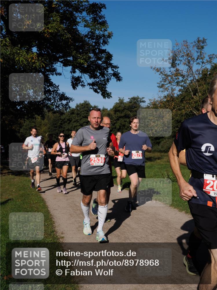 28.09.2025 - 33. Volkslauf durch das schöne Alstertal Fabian Wolf http://msf.ph/oto/8978968 28.09.2025 10:25:20 Laufen 2536, 208, 2579, 20 meine-sportfotos.de