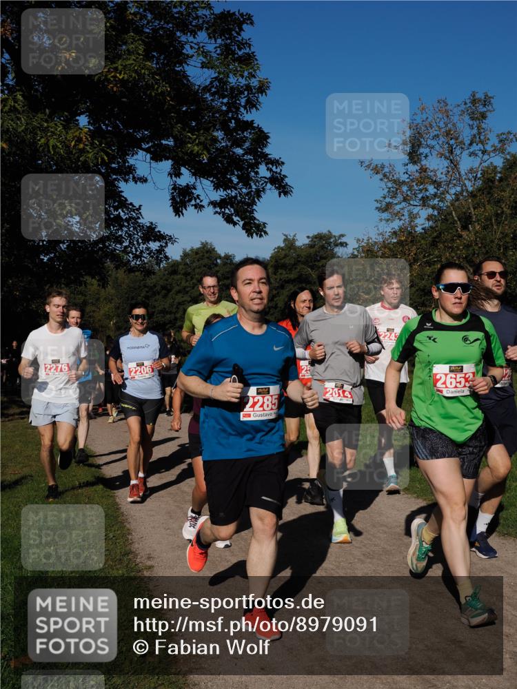28.09.2025 - 33. Volkslauf durch das schöne Alstertal Fabian Wolf http://msf.ph/oto/8979091 28.09.2025 10:25:44 Laufen 2276, 2206, 0, 2285, 25, 2014, 2243, 2653 meine-sportfotos.de
