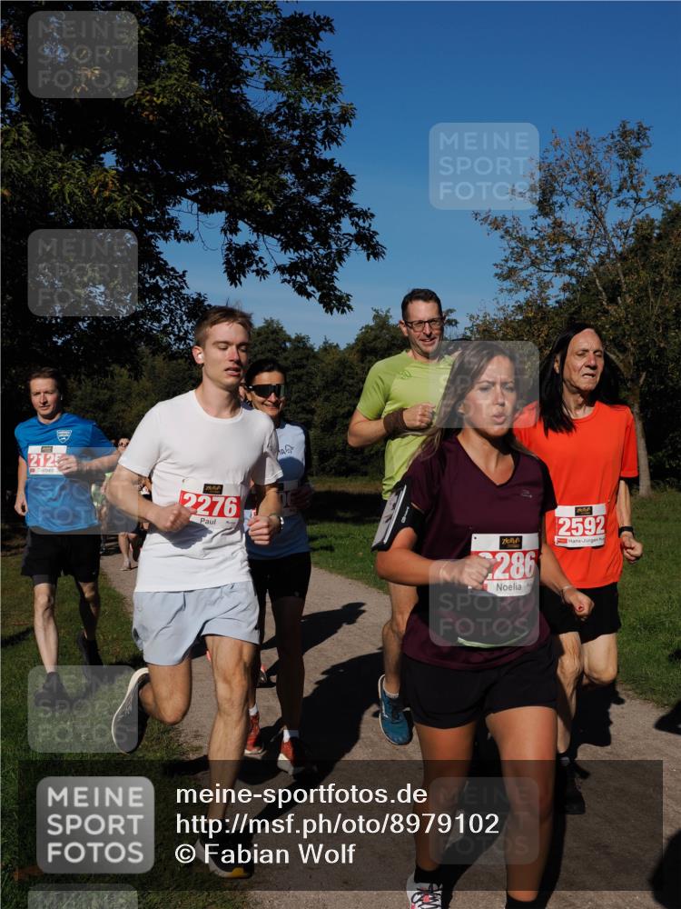 28.09.2025 - 33. Volkslauf durch das schöne Alstertal Fabian Wolf http://msf.ph/oto/8979102 28.09.2025 10:25:45 Laufen 212, 2276, 286, 2592 meine-sportfotos.de