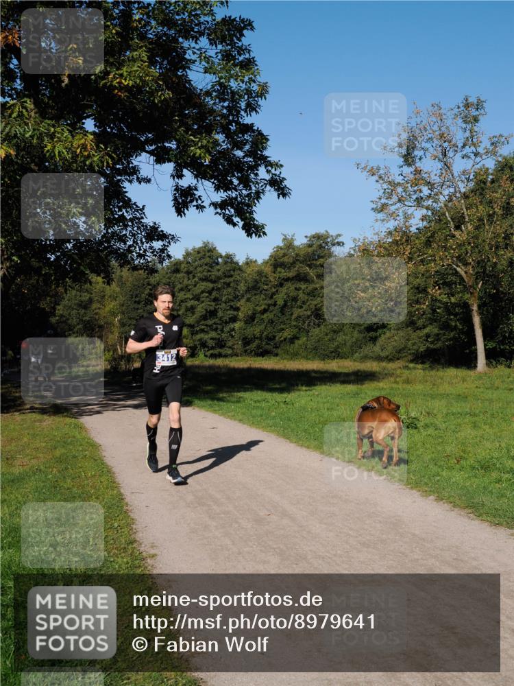 28.09.2025 - 33. Volkslauf durch das schöne Alstertal Fabian Wolf http://msf.ph/oto/8979641 28.09.2025 10:33:25 Laufen 3412 meine-sportfotos.de