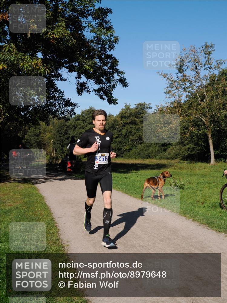 28.09.2025 - 33. Volkslauf durch das schöne Alstertal Fabian Wolf http://msf.ph/oto/8979648 28.09.2025 10:33:25 Laufen 41, 3412 meine-sportfotos.de