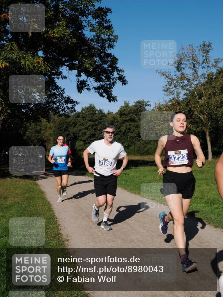 28.09.2025 - 33. Volkslauf durch das schöne Alstertal Fabian Wolf http://msf.ph/oto/8980043 28.09.2025 10:34:54 Laufen 3931, 3188, 3223 meine-sportfotos.de
