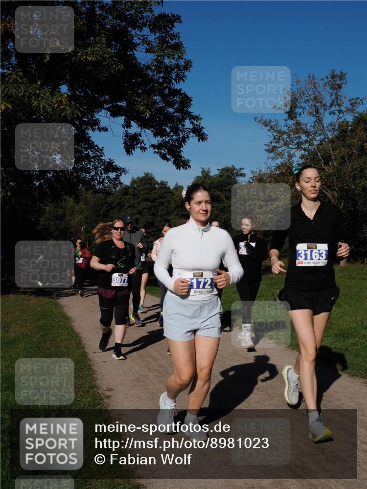 28.09.2025 - 33. Volkslauf durch das schöne Alstertal Fabian Wolf http://msf.ph/oto/8981023 28.09.2025 10:37:47 Laufen 3077, 172, 3163 meine-sportfotos.de