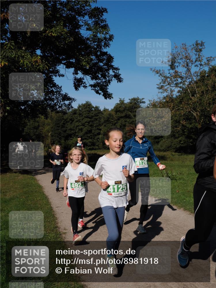 28.09.2025 - 33. Volkslauf durch das schöne Alstertal Fabian Wolf http://msf.ph/oto/8981918 28.09.2025 10:40:47 Laufen 4086, 4126, 492, 4125 meine-sportfotos.de