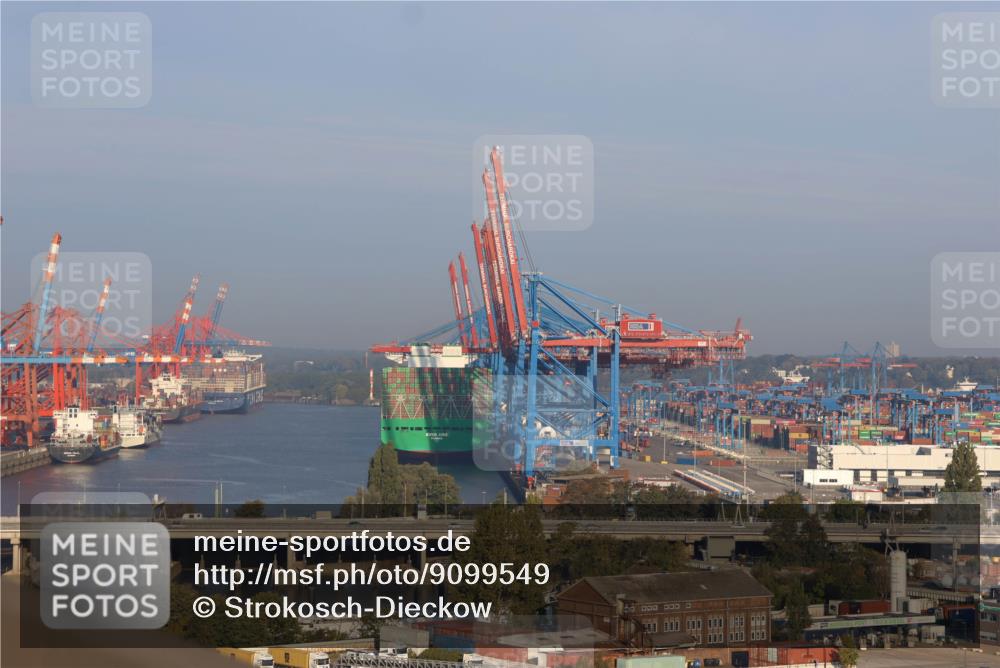 03.10.2025 - Köhlbrandbrückenlauf Strokosch-Dieckow http://msf.ph/oto/9099549 03.10.2025 09:07:53 Position 1  meine-sportfotos.de