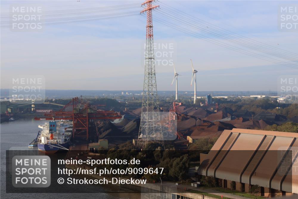 03.10.2025 - Köhlbrandbrückenlauf Strokosch-Dieckow http://msf.ph/oto/9099647 03.10.2025 09:09:12 Position 1  meine-sportfotos.de