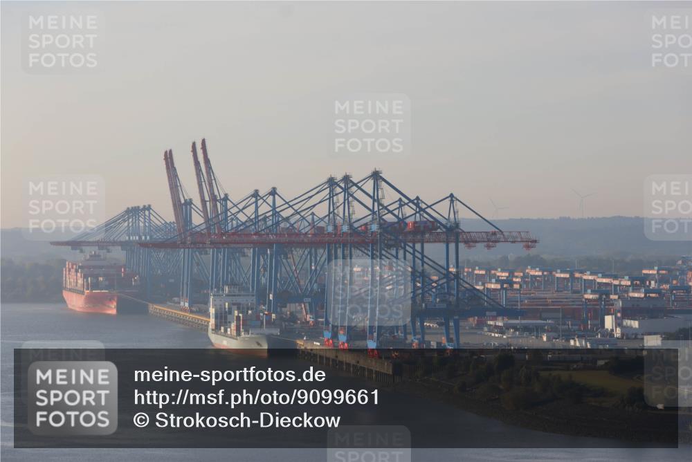 03.10.2025 - Köhlbrandbrückenlauf Strokosch-Dieckow http://msf.ph/oto/9099661 03.10.2025 09:09:22 Position 1  meine-sportfotos.de