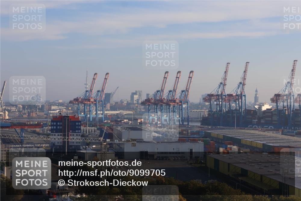 03.10.2025 - Köhlbrandbrückenlauf Strokosch-Dieckow http://msf.ph/oto/9099705 03.10.2025 09:10:25 Position 1  meine-sportfotos.de