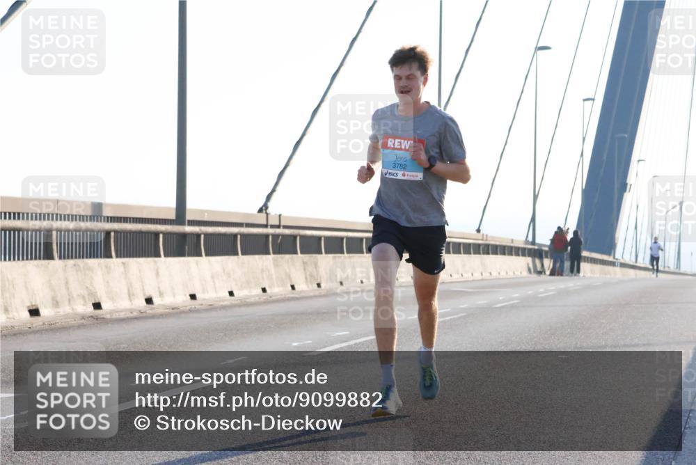 03.10.2025 - Köhlbrandbrückenlauf Strokosch-Dieckow http://msf.ph/oto/9099882 03.10.2025 09:16:47 Position 1 3782 meine-sportfotos.de