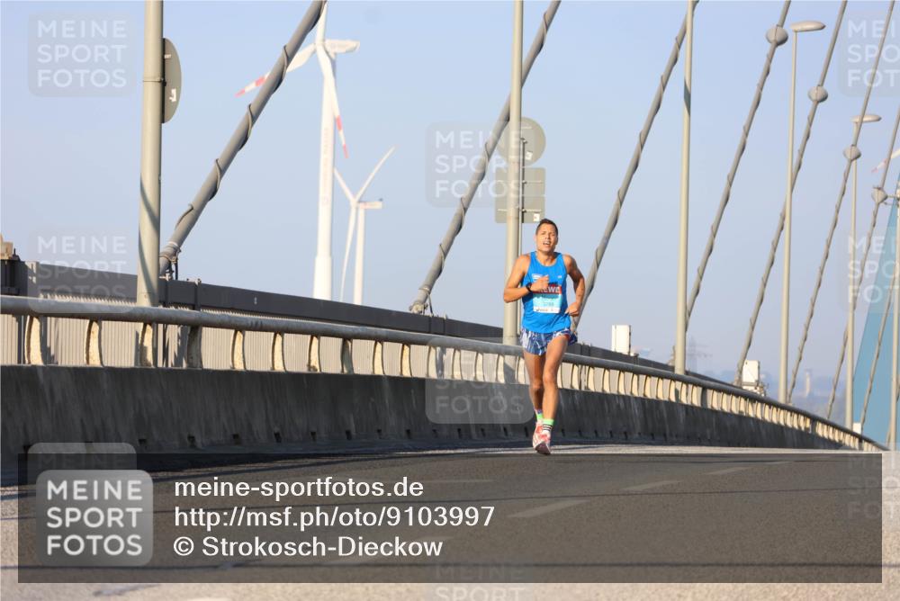 03.10.2025 - Köhlbrandbrückenlauf Strokosch-Dieckow http://msf.ph/oto/9103997 03.10.2025 09:27:27 Position 2  meine-sportfotos.de