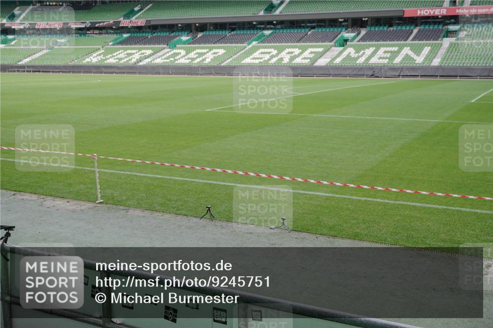 05.10.2025 - 20. swb-Marathon Bremen Michael Burmester http://msf.ph/oto/9245751 05.10.2025 10:37:33 Laufen im Stadion 7776, 9177, 9208, 9246, 9305, 9360, 9363, 9365, 9381, 9426, 9448, 9531, 9532, 9600, 9603, 9673, 9692, 9802, 9839, 9841, 9893, 9913, 9979, 10067, 10158, 10194, 10265, 10271, 10274, 10290, 10291, 10301, 10345, 10370, 10471, 10477, 10489, 10508, 10510, 10518, 10562, 10571, 10615, 10762, 10771, 10777, 10821, 10826, 10837, 10872, 10876, 10995, 11001, 11050, 11121, 11124, 11150, 11162, 11183, 11184, 11223, 11251, 11415 meine-sportfotos.de