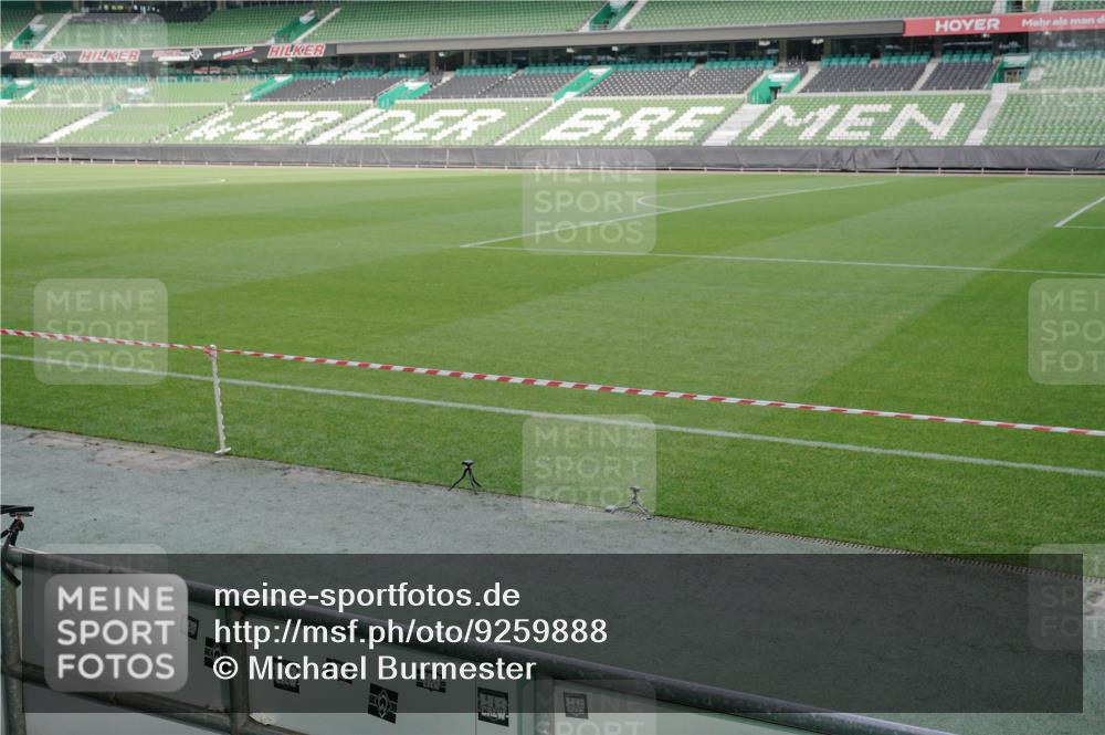 05.10.2025 - 20. swb-Marathon Bremen Michael Burmester http://msf.ph/oto/9259888 05.10.2025 10:48:57 Laufen im Stadion 9247, 9408, 9513, 9688, 9753, 10076, 10361, 10362, 10488, 10613, 10795, 10874, 10913, 11109, 11216, 11480, 11625, 11631, 11690, 11743, 9698, 9705, 10012 meine-sportfotos.de