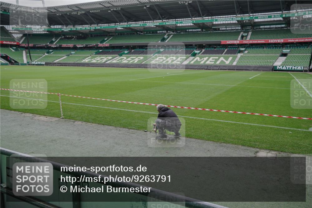 05.10.2025 - 20. swb-Marathon Bremen Michael Burmester http://msf.ph/oto/9263791 05.10.2025 11:53:29 Laufen im Stadion 408 meine-sportfotos.de