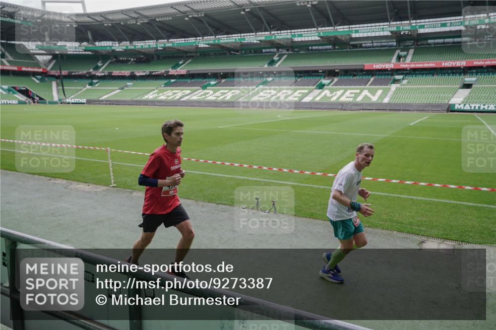 05.10.2025 - 20. swb-Marathon Bremen Michael Burmester http://msf.ph/oto/9273387 05.10.2025 12:48:30 Laufen im Stadion 492, 1370, 1526, 1607, 1625, 1724, 2241, 2360, 2643, 2974, 3320, 3324, 3768, 3819, 4353, 5103, 5264, 5599, 5786, 5918, 6171, 6251, 6463, 6632, 7735, 7831, 7900, 7904, 8244, 8507, 8687, 8729, 8897, 8923, 8932, 344, 346, 564, 656, 1205, 1642, 1646, 2472, 2482, 2656, 2872, 3061, 4215, 4255, 4291, 4313, 6804, 7176, 7492 meine-sportfotos.de