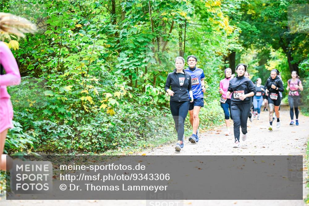 12.10.2025 - Bramfelder Halbmarathon 2025 Dr. Thomas Lammeyer http://msf.ph/oto/9343306 12.10.2025 09:58:03 Laufen 94, 501, 2648, 26, 3, 2555 meine-sportfotos.de