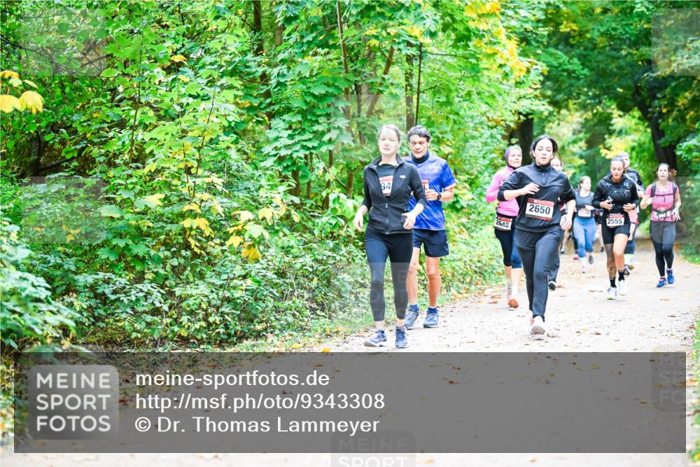 12.10.2025 - Bramfelder Halbmarathon 2025 Dr. Thomas Lammeyer http://msf.ph/oto/9343308 12.10.2025 09:58:04 Laufen 84, 2648, 2650, 2555 meine-sportfotos.de