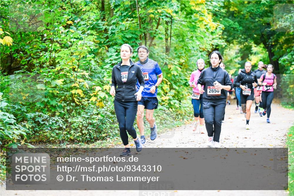 12.10.2025 - Bramfelder Halbmarathon 2025 Dr. Thomas Lammeyer http://msf.ph/oto/9343310 12.10.2025 09:58:05 Laufen 94, 01, 2650, 2555, 2648 meine-sportfotos.de