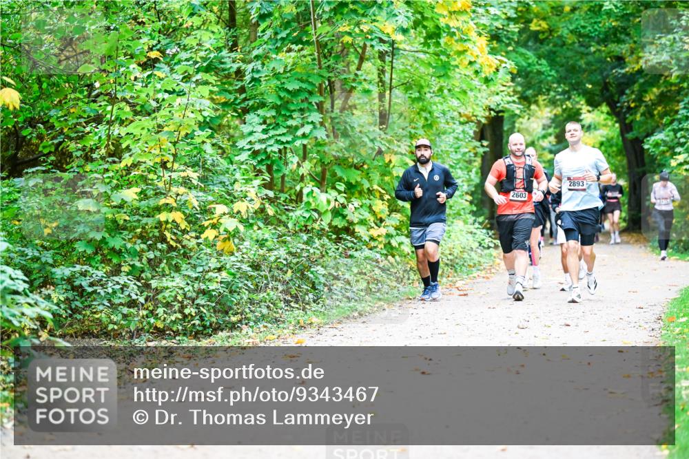 12.10.2025 - Bramfelder Halbmarathon 2025 Dr. Thomas Lammeyer http://msf.ph/oto/9343467 12.10.2025 09:58:30 Laufen 2893, 2603, 2475 meine-sportfotos.de