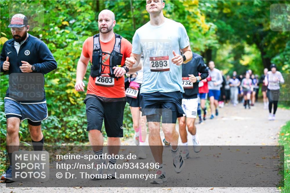12.10.2025 - Bramfelder Halbmarathon 2025 Dr. Thomas Lammeyer http://msf.ph/oto/9343496 12.10.2025 09:58:35 Laufen 2893, 2603, 2779, 732 meine-sportfotos.de
