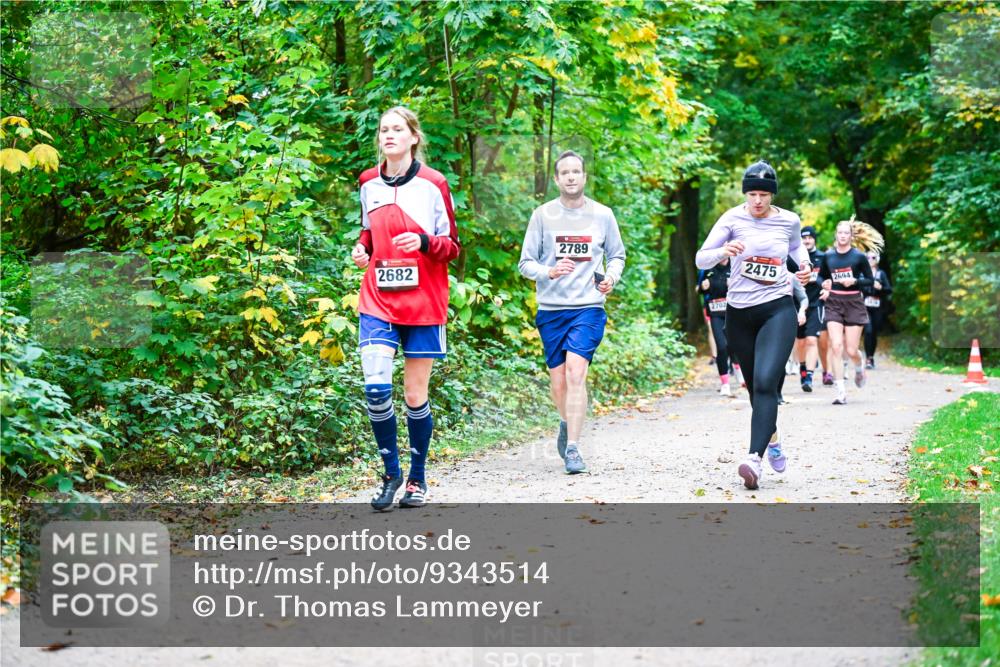 12.10.2025 - Bramfelder Halbmarathon 2025 Dr. Thomas Lammeyer http://msf.ph/oto/9343514 12.10.2025 09:58:39 Laufen 2682, 2789, 2702, 2475, 2694 meine-sportfotos.de
