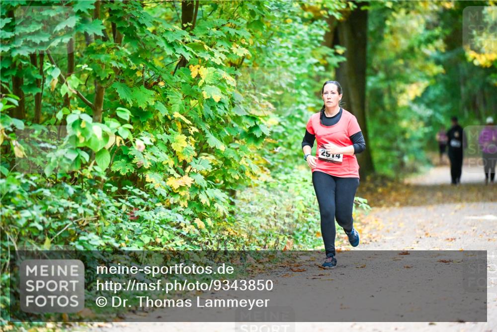 12.10.2025 - Bramfelder Halbmarathon 2025 Dr. Thomas Lammeyer http://msf.ph/oto/9343850 12.10.2025 10:01:00 Laufen 2514 meine-sportfotos.de