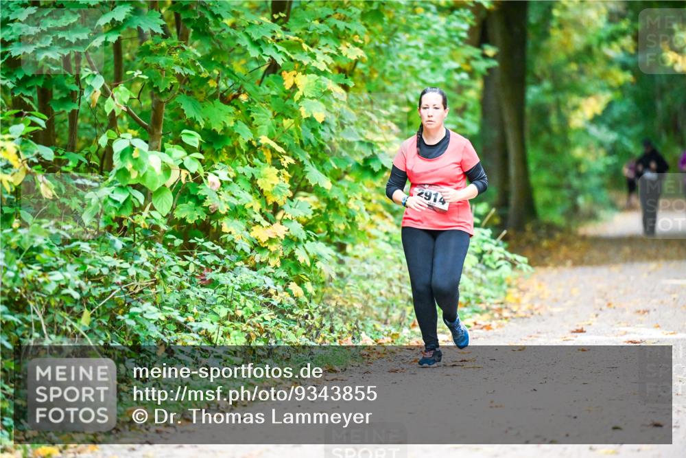 12.10.2025 - Bramfelder Halbmarathon 2025 Dr. Thomas Lammeyer http://msf.ph/oto/9343855 12.10.2025 10:01:01 Laufen 2914 meine-sportfotos.de
